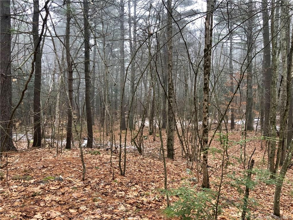 3 Raymond Drive Barkhamsted CT 06063