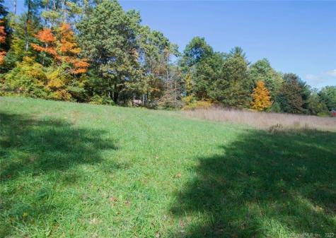 15 Holcomb Street Simsbury CT 06070