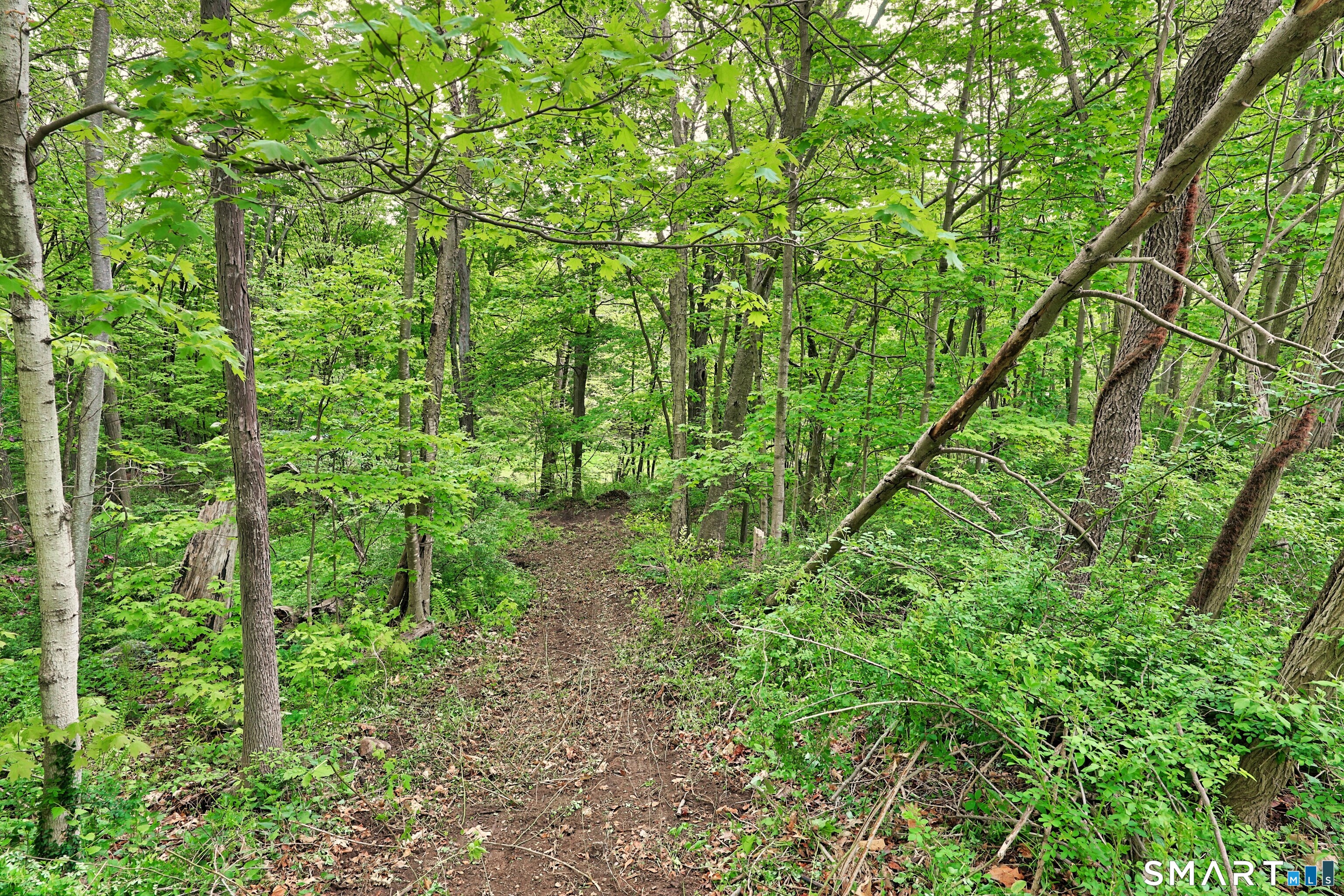 261 Litchfield Street Thomaston CT 06787