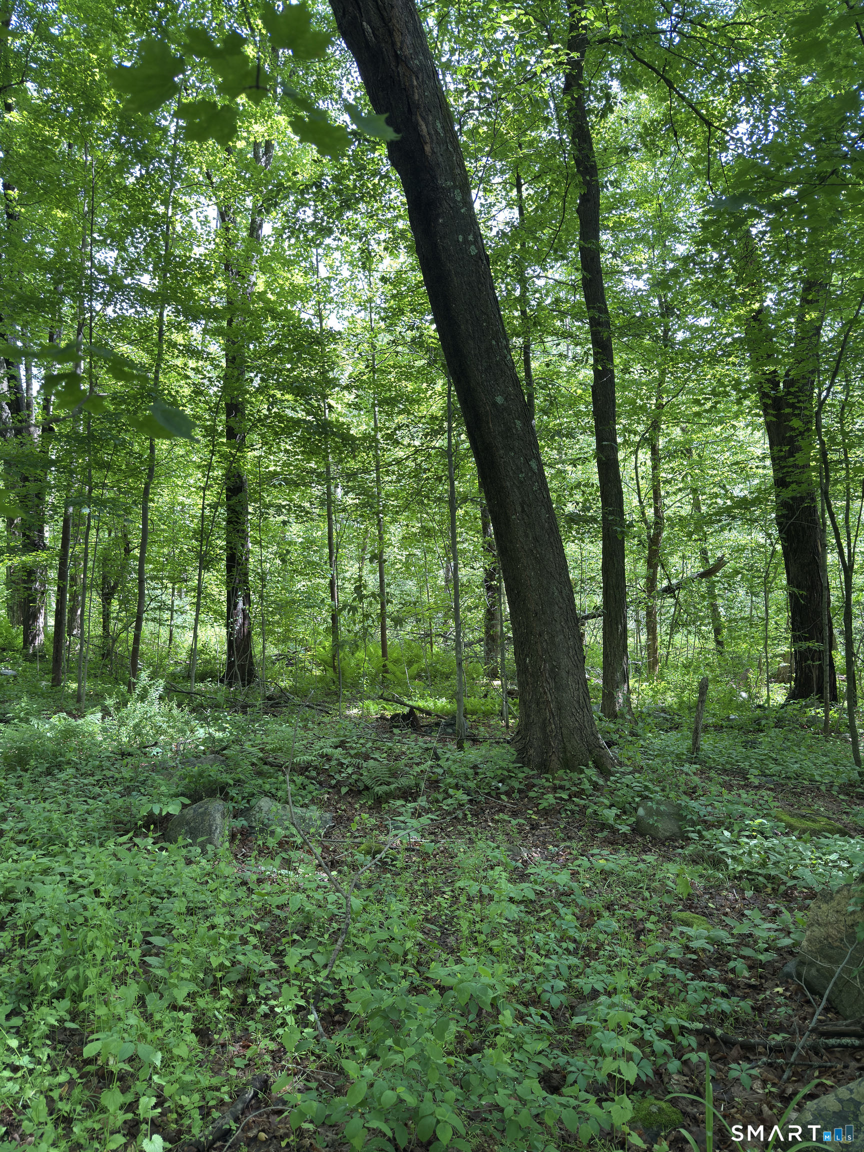 319 White Oak Trail Winchester CT 06098