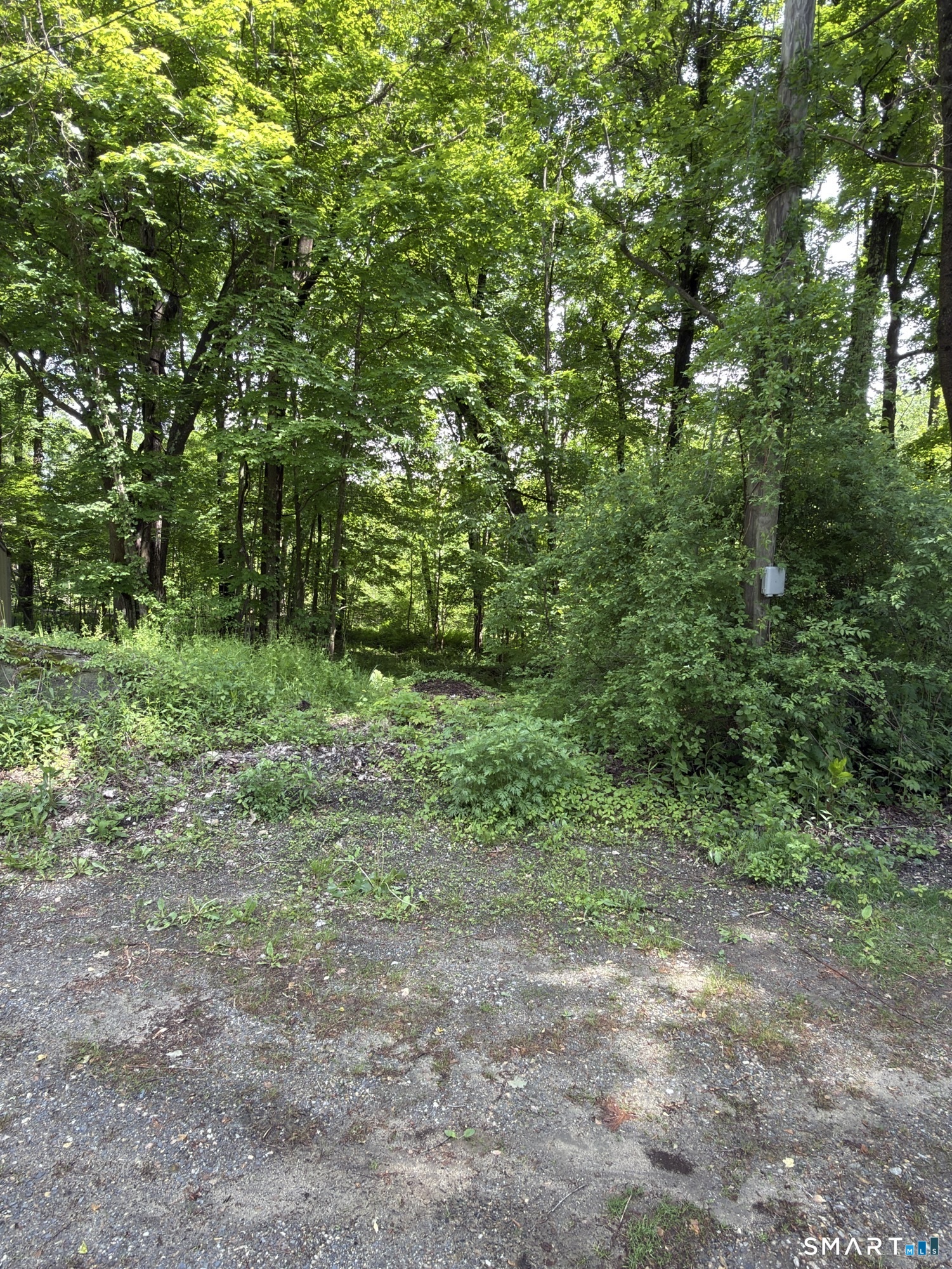 319 White Oak Trail Winchester CT 06098