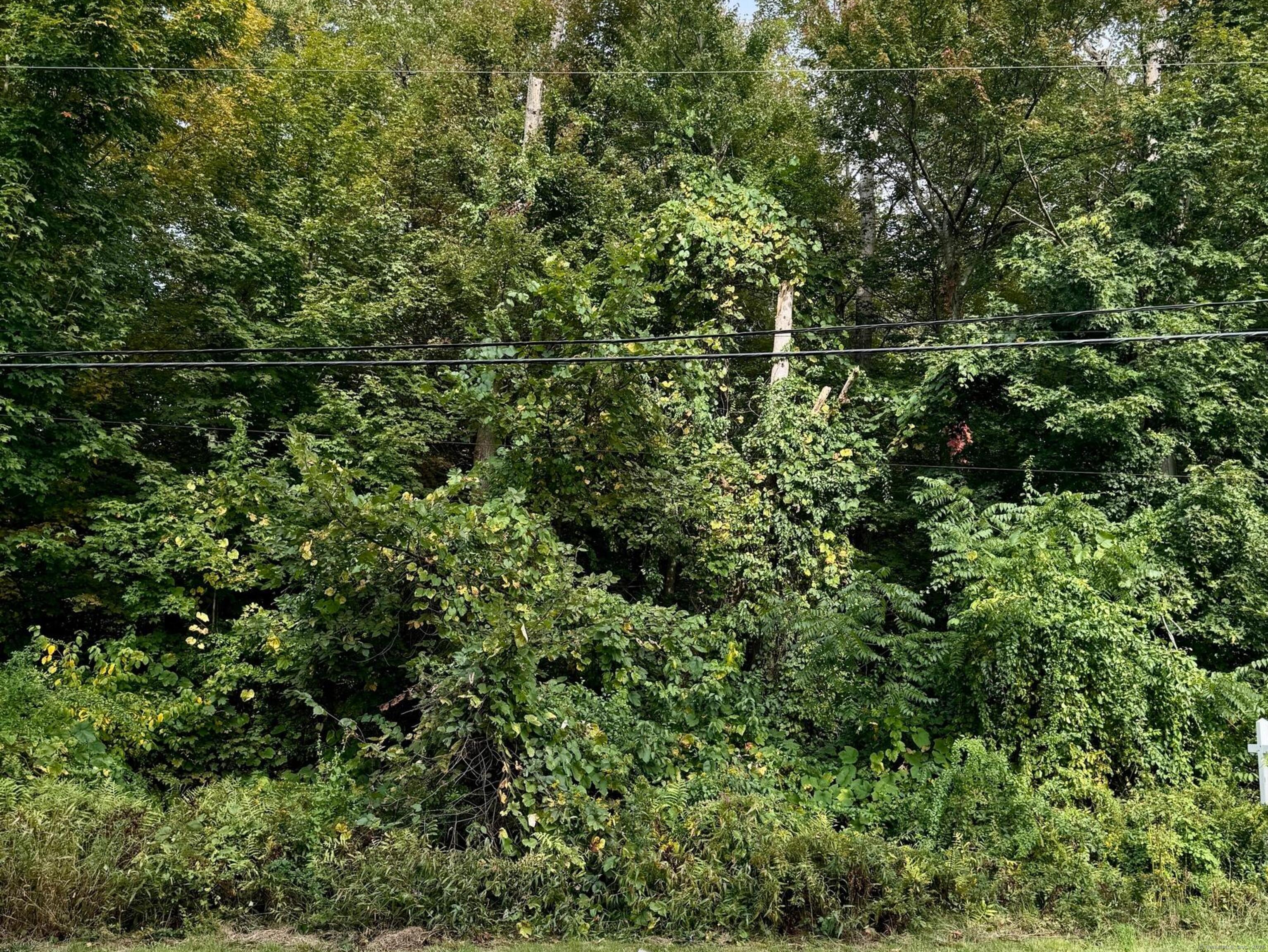 142 Turnpike Road Somers CT 06071
