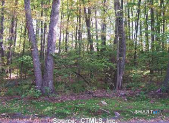 254 Stoddard Road Morris CT 06763