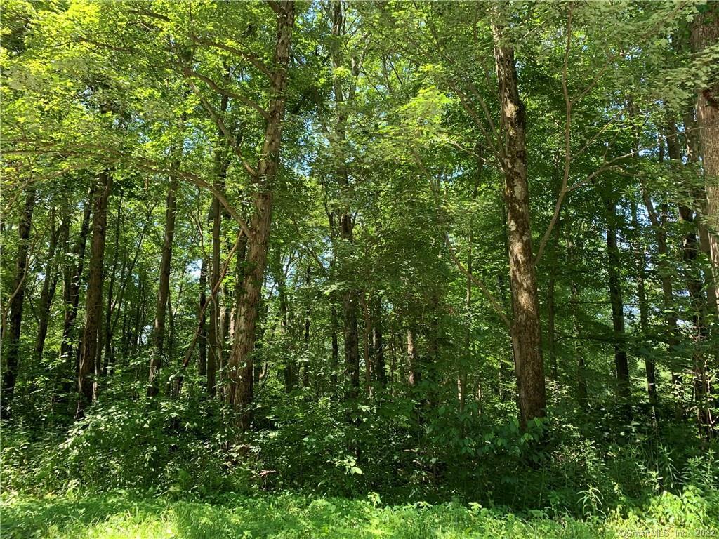 Lot 5 Sunset Lake Road Warren CT 06754