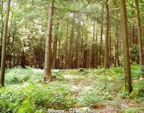 61 Cedar Mountain Road Thomaston CT 06787