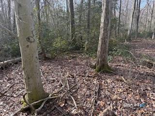 Swain Johnson Trail Haddam CT 06438
