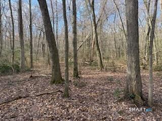 Swain Johnson Trail Haddam CT 06438