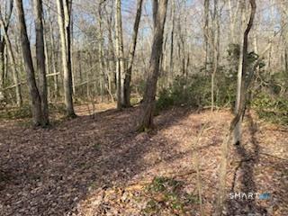 Swain Johnson Trail Haddam CT 06438