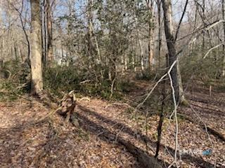 Swain Johnson Trail Haddam CT 06438
