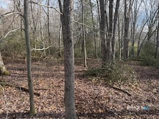 Swain Johnson Trail Haddam CT 06438