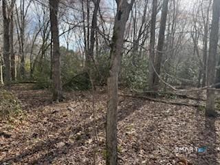 Swain Johnson Trail Haddam CT 06438