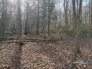 Swain Johnson Trail Haddam CT 06438