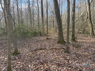 Swain Johnson Trail Haddam CT 06438
