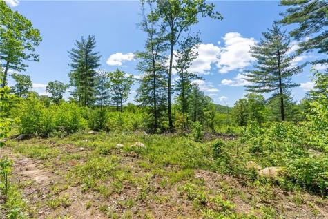 13 Dew Road Barkhamsted CT 06063