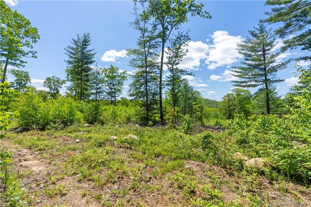 13 Dew Road Barkhamsted CT 06063