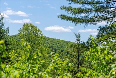 13 Dew Road Barkhamsted CT 06063