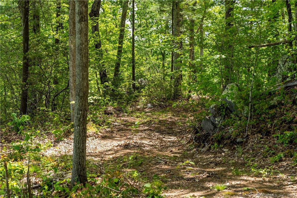 13 Dew Road Barkhamsted CT 06063