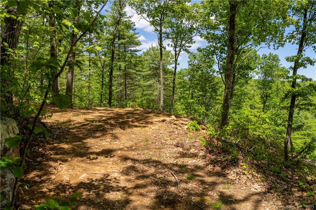 13 Dew Road Barkhamsted CT 06063