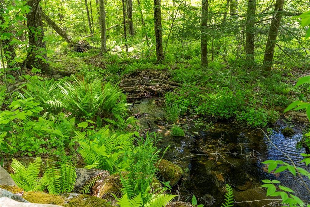 13 Dew Road Barkhamsted CT 06063