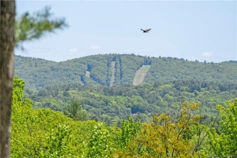 13 Dew Road Barkhamsted CT 06063