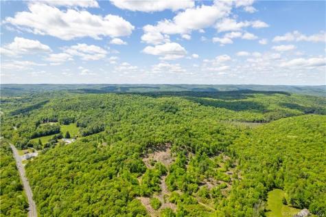 13 Dew Road Barkhamsted CT 06063