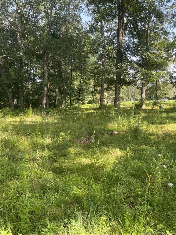 544 Colonel Ledyard Highway Ledyard CT 06339