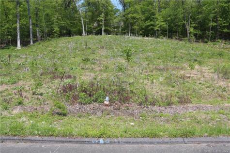 9 Tree Top Road Ellington CT 06029