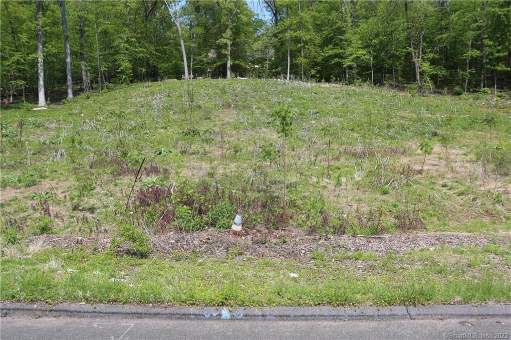 9 Tree Top Road Ellington CT 06029