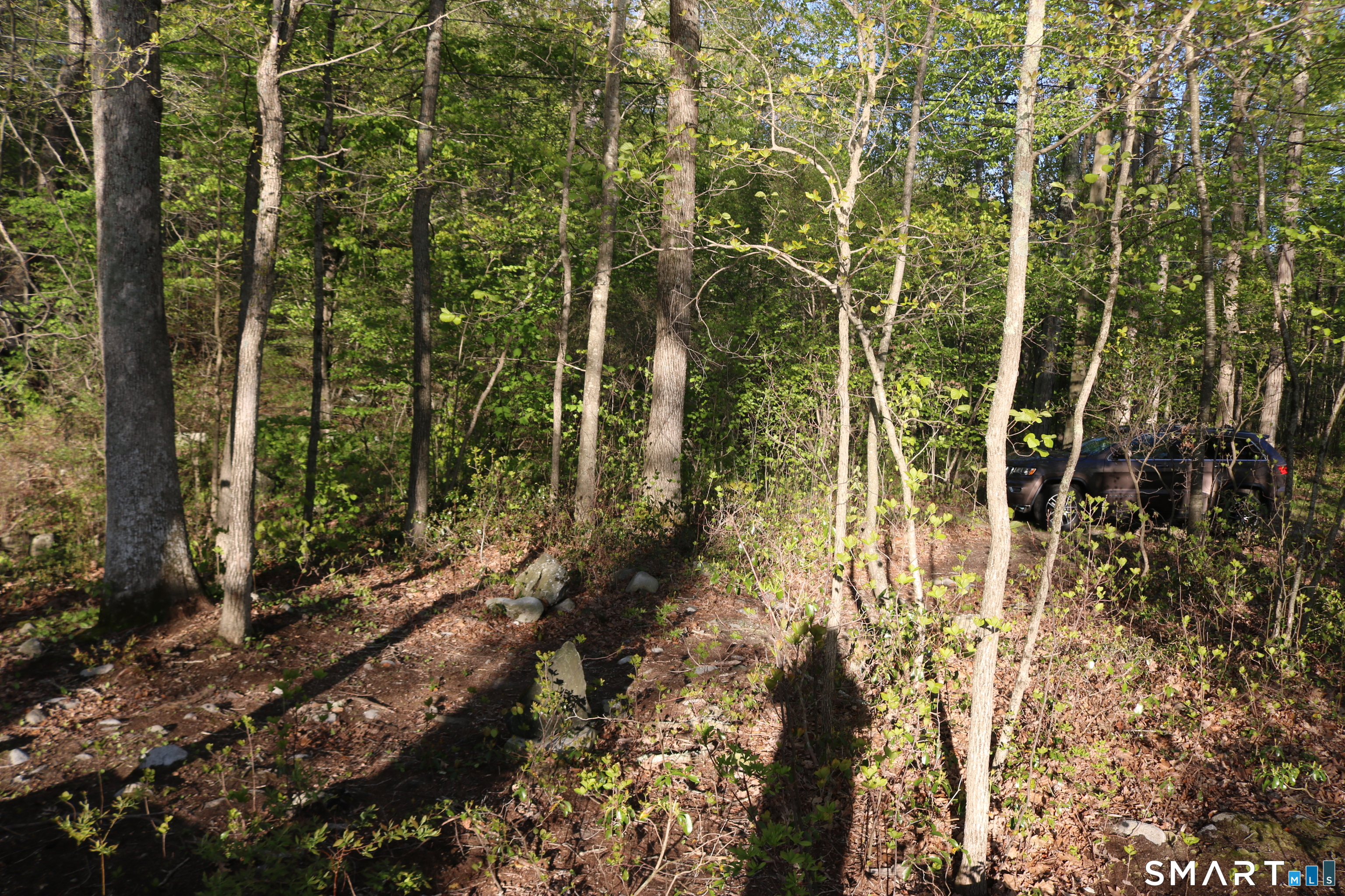 00 Mt. Tom Passway Morris CT 06763
