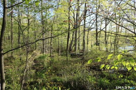 00 Mt. Tom Passway Morris CT 06763