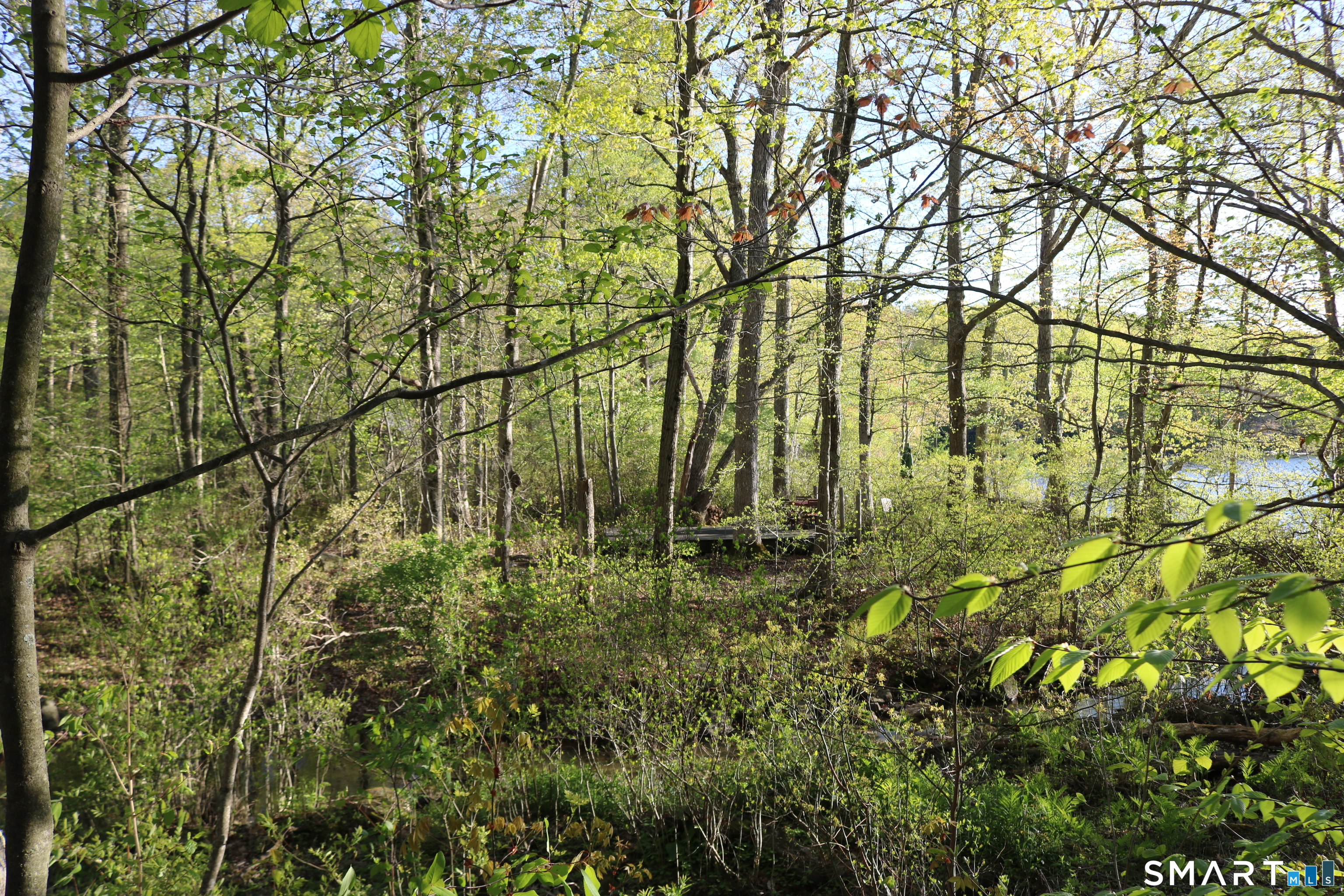 00 Mt. Tom Passway Morris CT 06763