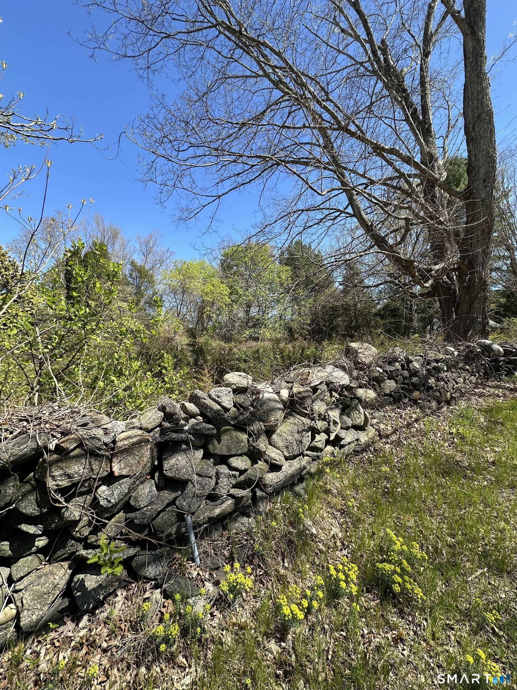 98 Babcock Hill Road Windham CT 06266