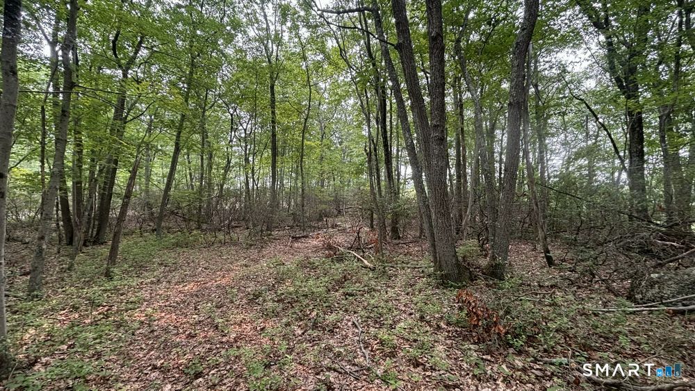 195 Silver Springs Drive Haddam CT 06441