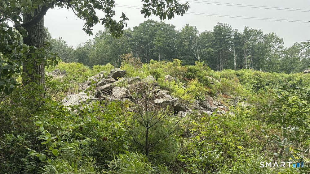 195 Silver Springs Drive Haddam CT 06441