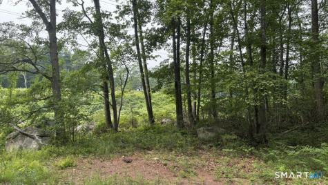 195 Silver Springs Drive Haddam CT 06441