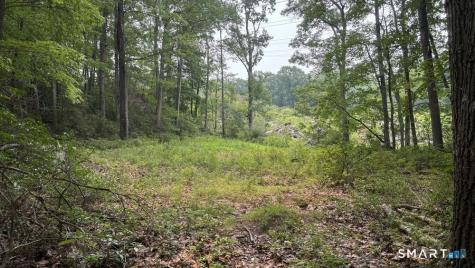 195 Silver Springs Drive Haddam CT 06441