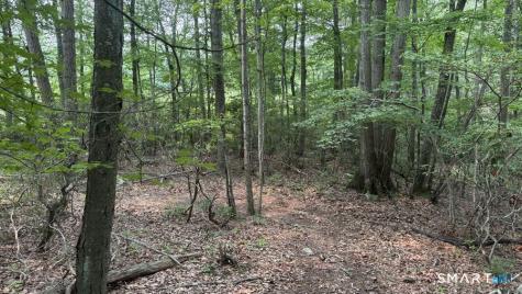 195 Silver Springs Drive Haddam CT 06441