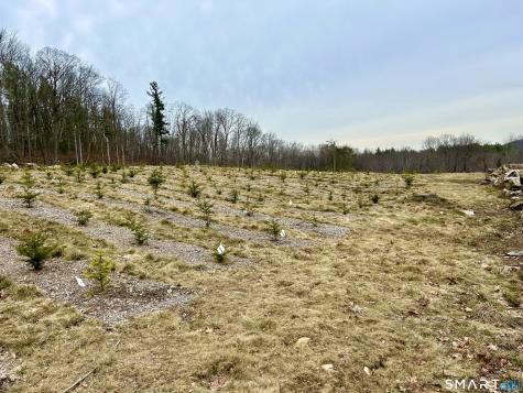 00 Prock Hill Road Colebrook CT 06021