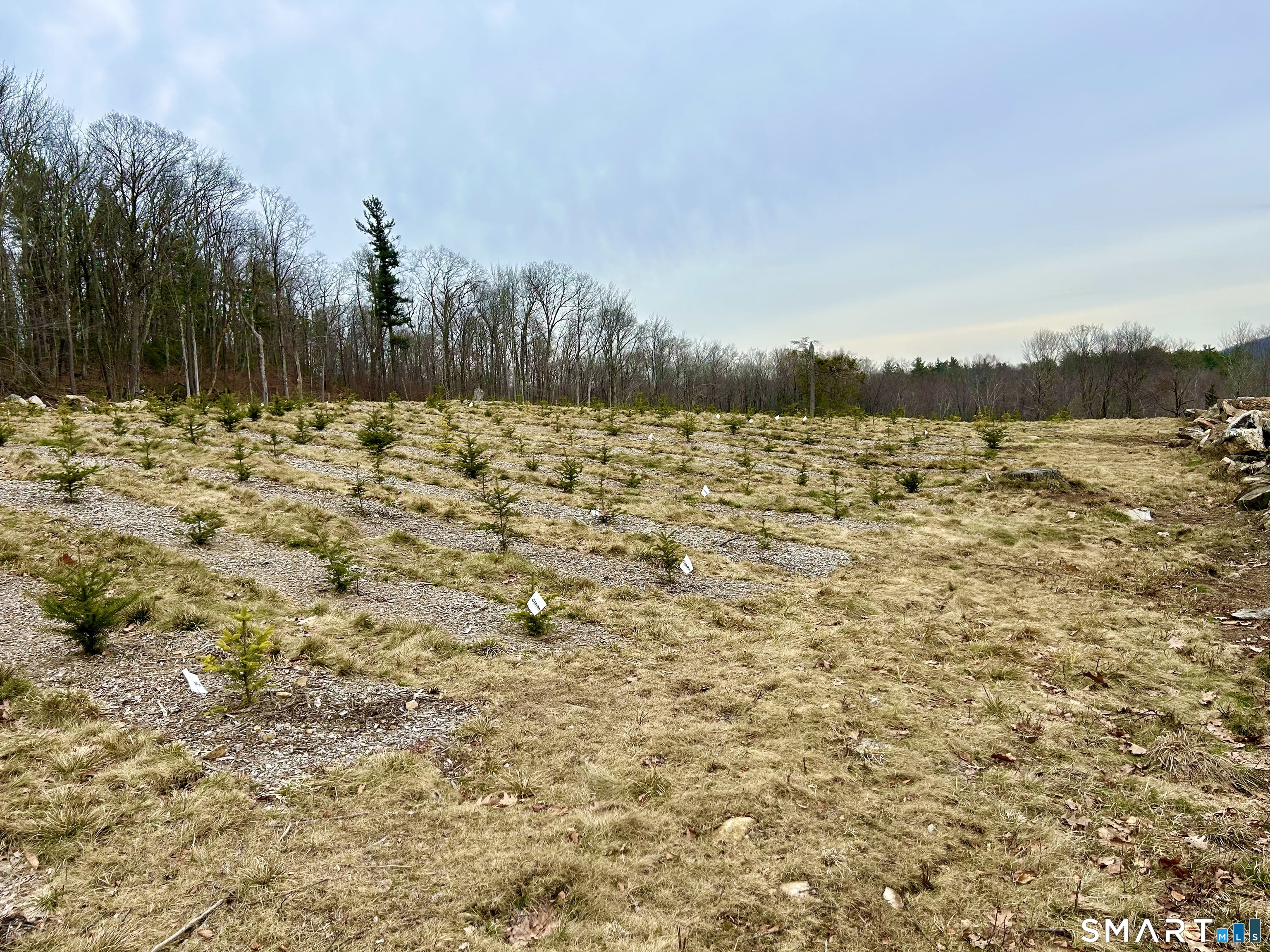 00 Prock Hill Road Colebrook CT 06021