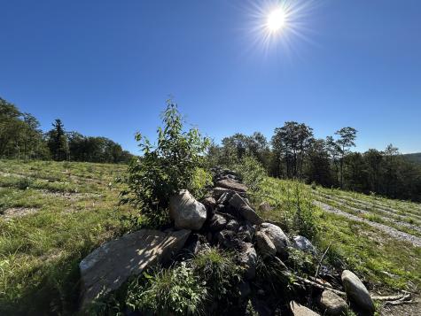 00 Prock Hill Road Colebrook CT 06021