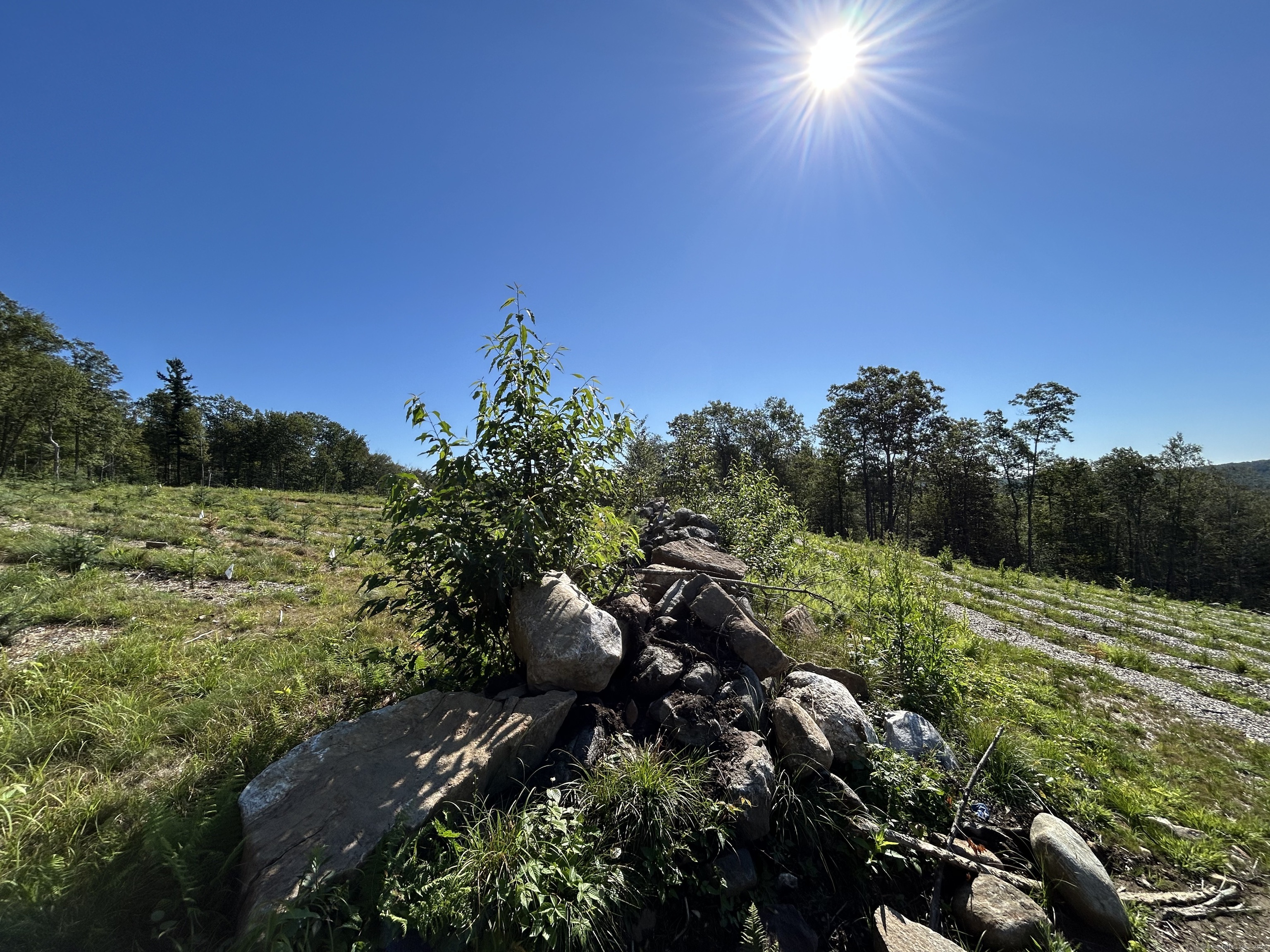 00 Prock Hill Road Colebrook CT 06021
