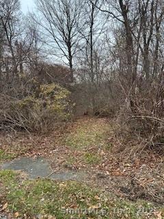 28 Tower Lane Naugatuck CT 06770