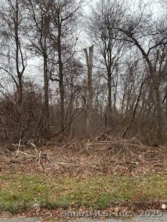 28 Tower Lane Naugatuck CT 06770