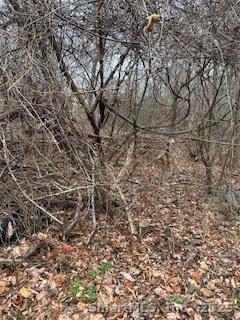 28 Tower Lane Naugatuck CT 06770