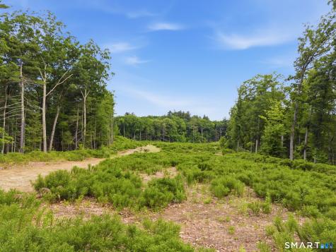 24 Peck Orchard Road Granby CT 06060