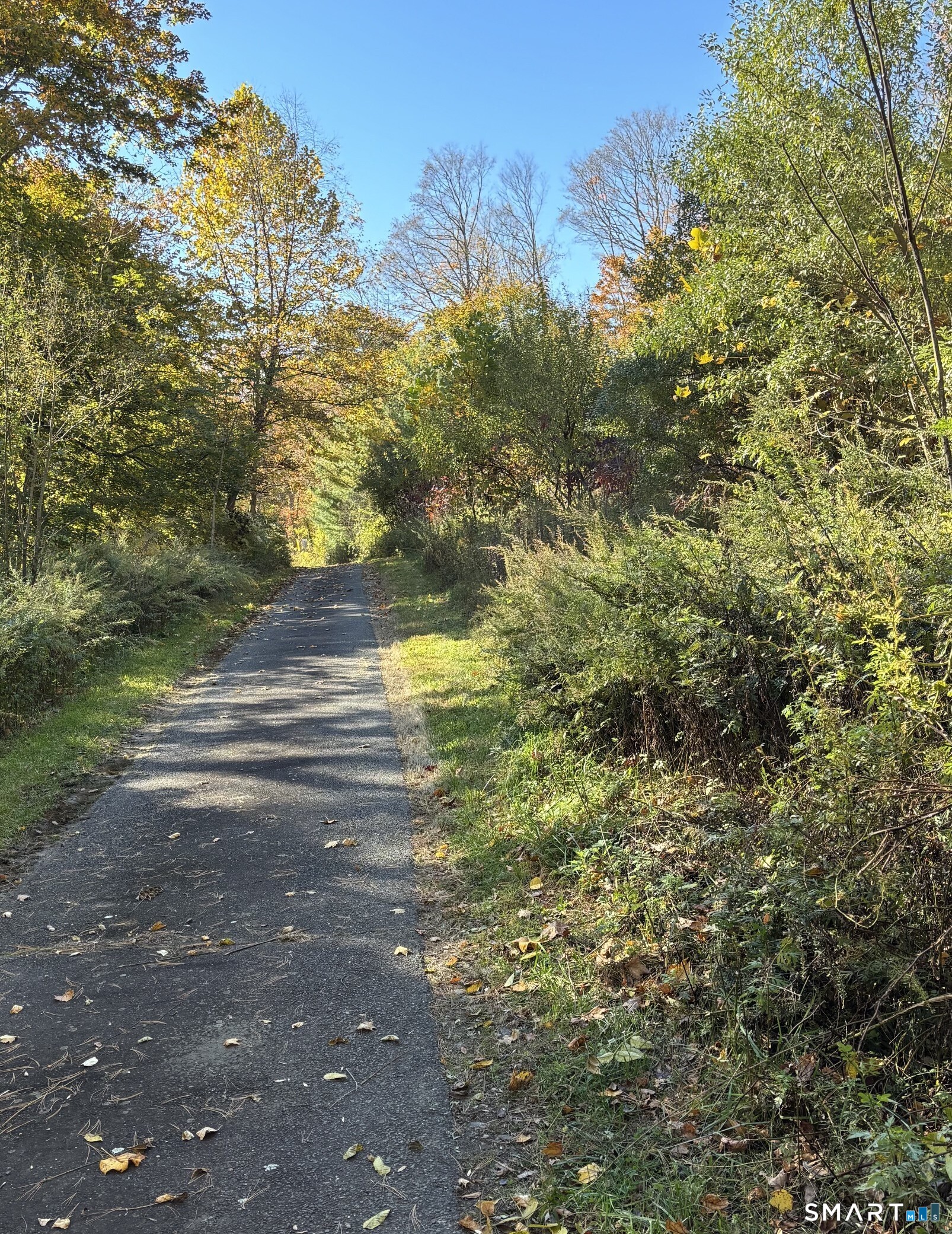 379 Brushy Plain Road Branford CT 06405