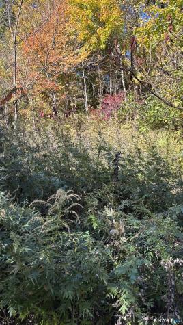379 Brushy Plain Road Branford CT 06405