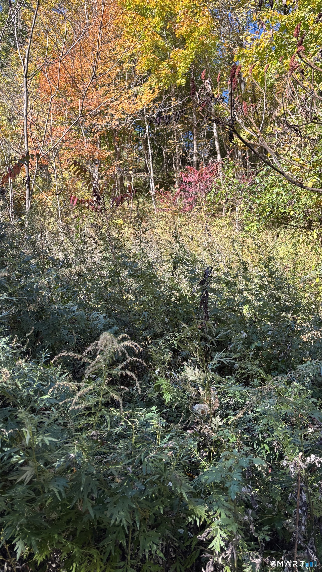 379 Brushy Plain Road Branford CT 06405