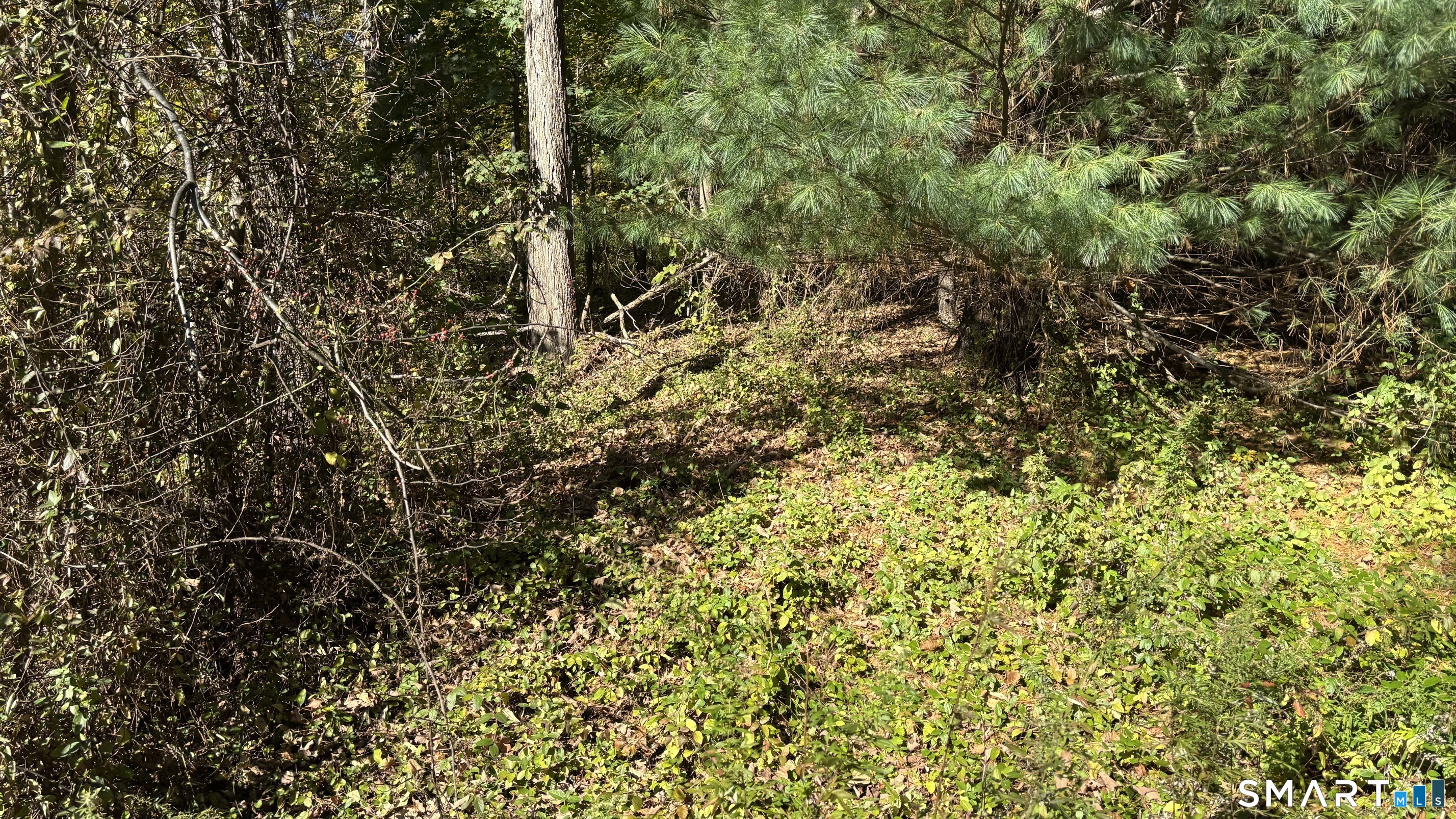379 Brushy Plain Road Branford CT 06405