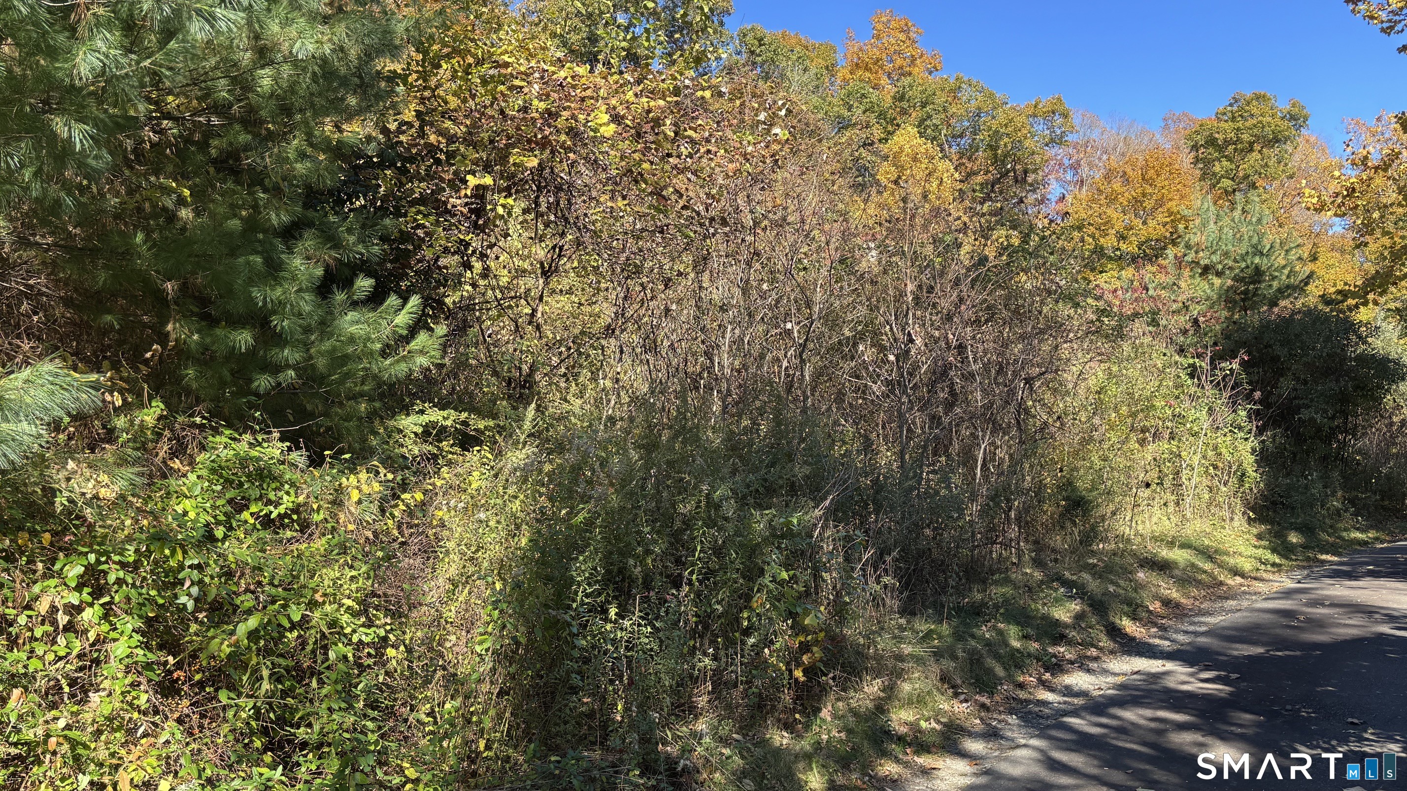 379 Brushy Plain Road Branford CT 06405